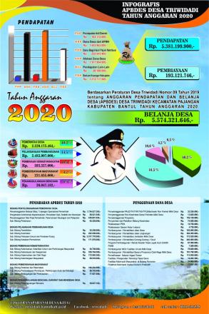 INFOGRAFI APBDesa Triwidadi 2020